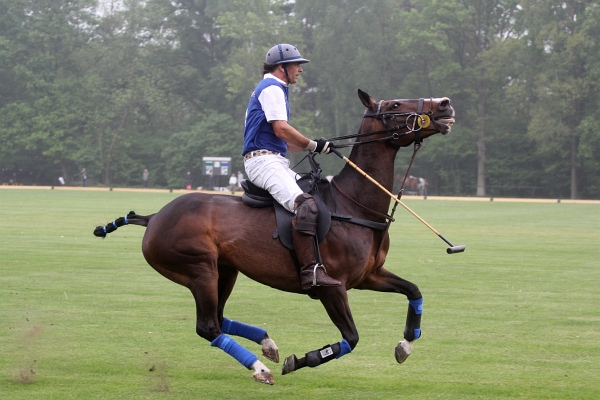 Polo_Art   051.jpg